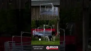 The Brazzen Budbox System