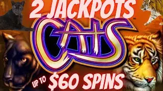 2 JACKPOTS ON CATS SLOT MACHINE HIGH LIMIT $60 SPINS LIVE PLAY AT WYNN LAS VEGAS