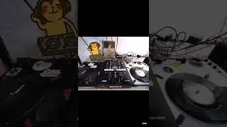 numark setup #numark #numarkscratch #numarkpt01 #serato #funky #turntable
