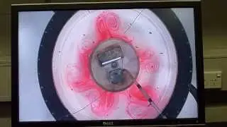 Flow in rotating tank heated by central, circular resevoir of warm water