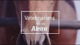 Veterinarians Discuss Aleira
