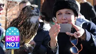 Maggie Gyllenhaal Poses For An 'Owl Selfie' in Park City, Utah