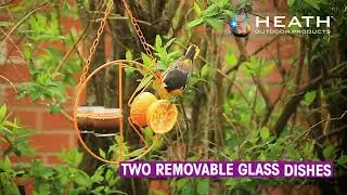Clementine Oriole Feeder