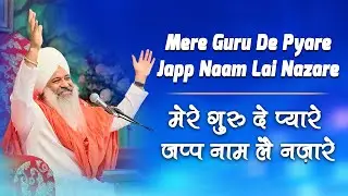 Mere Guru De Pyare Japp Naam Lai Nazare || Sant Trilochan Darshan Das Ji