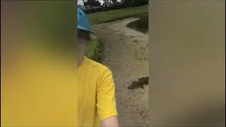 Lucas approaches an alligator (2020)