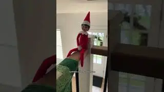 Tradi&ccedil;&atilde;o de Natal nos EUA #morandonoseua #estadosunidos #aupairnoseua #aupairbrasil #aupairvlog #eua