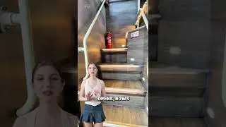 интерьер автобуса люкс #шорты
