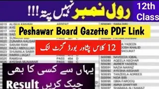 Peshawar board Gazette 11th class result 2025 |  bise peshwar board result gazette 2025 | kpk result