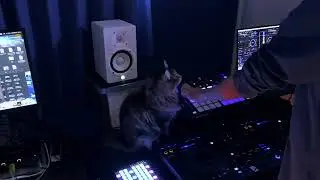 BYTE BEAT ELECTRO -RUINS STAR- (feat. KAORU)のDJ風アレンジVer.  #techno #dj  #resystem #electronicmusic