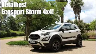 Novo Ford Ecosport Storm 4x4 - Falando de Carro