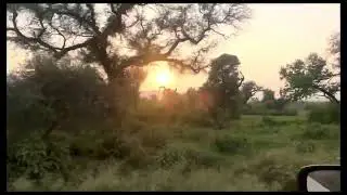 Alwar-Sariska Travel
