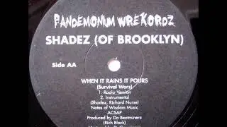 Shadez Of Brooklyn - When It Rains It Pours (Survival Warz) (Instrumental)