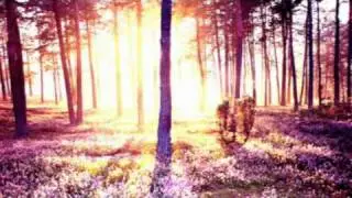 Timecode ft. Zak - Enigma Machine (on acid)