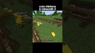 Minecraft Cute Chickens Moment