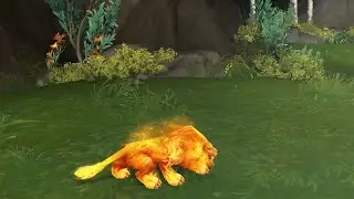 WoW 10.2 Fire Cat Form
