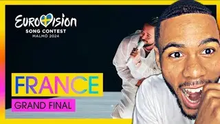 Surprising Reaction to Eurovision 2024 Performance