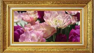 Serenity Pink