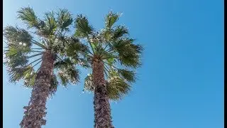 Ontspanningsoefeningen voor lichaam en geest