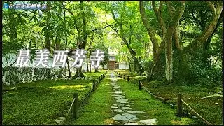 京都西芳寺，又称苔寺，以满园青苔和枯山水闻名，是日本禅意庭园的极致代表。寺院历史可追溯至奈良时代，庭园由禅僧梦窗疏石设计，被誉为“世界最美苔庭”。