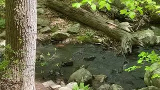 Экскурсия Выходного Дня -Ramapo Reservation. МИФ или НЕТ ? Таки Законопослушные эти  Американцы ?!