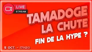 👁️ BIG EYES COIN ? Prix, crypto, pr&eacute;vente, Binance, comment acheter ? Avis... fr... 👁️