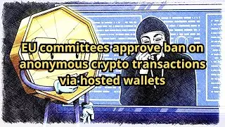 EU committees approve ban on anonymous crypto transactions via hosted wallets