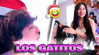 SERA REGRESA a PERU 💥 JUGANDO CON LOS GATOS DE MATT 💥