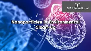 Nanoparticles in Environmental Clean-up