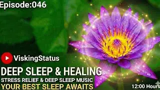 Ep:46?HIGH-DEFINITION nature and music designed to calm your nervous system.soundscapes #slowmotion 