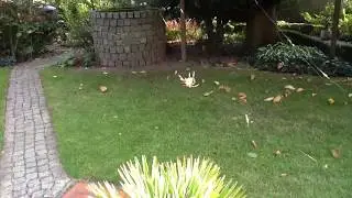 Spinfilm