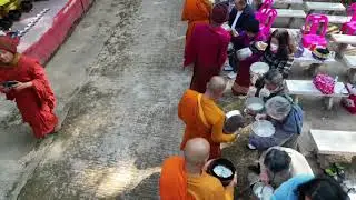 Peaceful Morning Alms Giving at Wat Doi Ku Kai Kaew, Phayao | Buddhist Rituals.