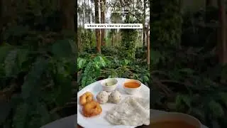 Discover the serenity of nature at JungleTrailz Resort & Homestays.