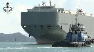 SHIPSPOTTING SANTOS PORT, DRONE & SHORE FOOTAGE #249