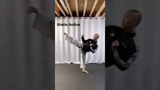 4 Types Of Flexibility Taekwon-Do Edition