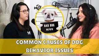 Understanding the Causes of Your Dog's Behavioral Problems