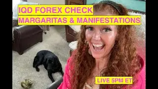 BREAKING: IQD on Forex?! Let&rsquo;s Check LIVE 🇮🇶🍹 (5pm ET)