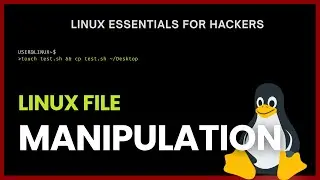 Linux Essentials Tutorial #3 | File Manipulation
