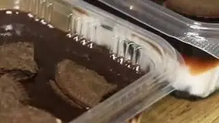 Make easily Oreo chocolate pudding in 1 minute  /cook with savi