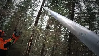 Harvennushommia - kaatovänkäriapinan silmin