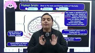 Class 10th | Control & Coordination | Ep - 2 ⏱️ 30-Minute Capsule | CBSE Boards 2026 | Physix Fever
