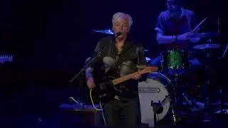 Robyn Hitchcock - 