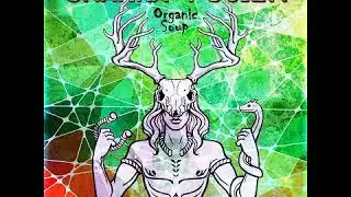 Organic Soup - Chakra Fusion (Album Preview)