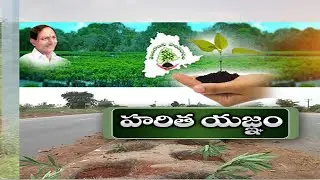 All Set for 7th Phase of Haritha Haram | to be Launched Soon | in Telangana