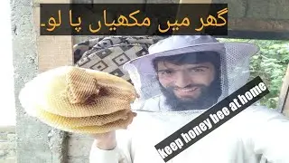 how to keep bees at home||how to increase bees|| how many bees hive is produced in one year. by shah