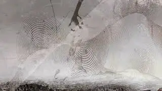 Galaxy Ecosystems: The Next-Generation Very Large Array