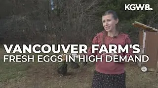 Fresh eggs sell out fast at Vancouver farm amid price hike