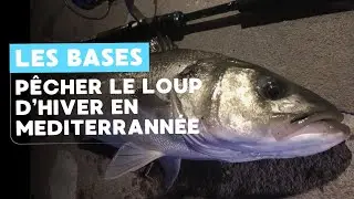 P&ecirc;cher du loup en hiver en mediterrann&eacute;e &bull; les bases