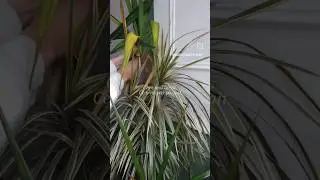 bienvenue sur Maison sans pression 🌿