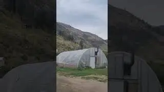 #canada #farmlife #BC #Okanagan valley