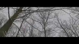 WINTER :: KAVECANY FOREST :: DJI RONIN FIRST TEST